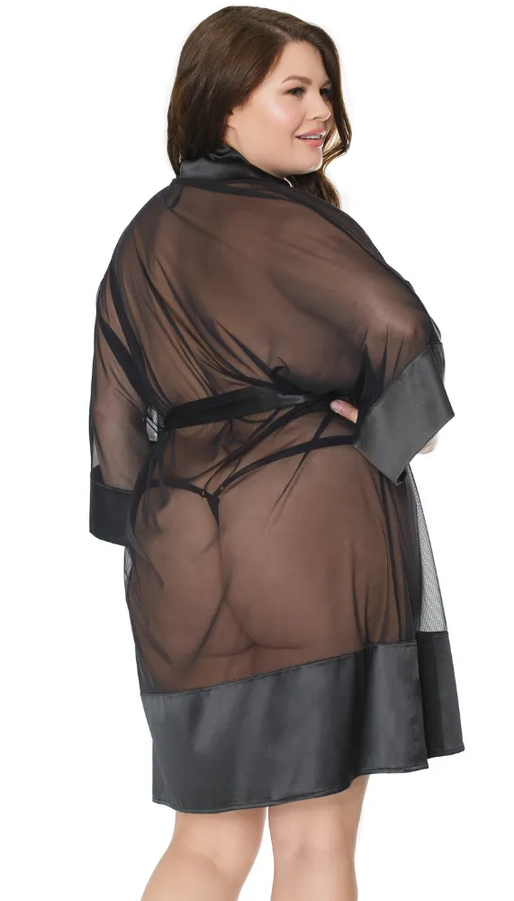 Sheer Black Robe